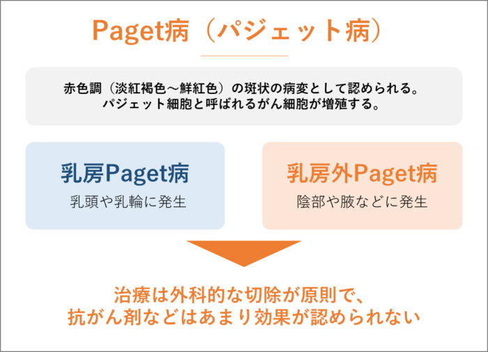 Paget病