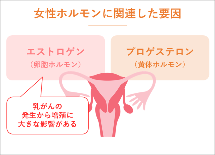 女性ホルモンに関連した要因