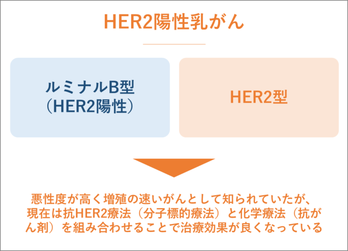 HER2陽性乳がん