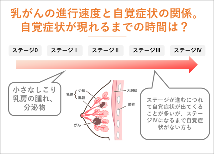 乳がんの進行速度と自覚症状の関係。自覚症状が現れるまでの時間は？